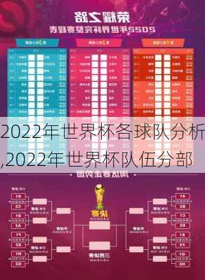 2022年世界杯各球队分析,2022年世界杯队伍分部