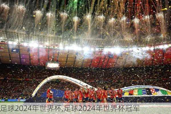 足球2024年世界杯,足球2024年世界杯冠军