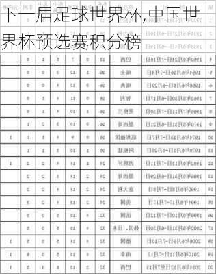 下一届足球世界杯,中国世界杯预选赛积分榜