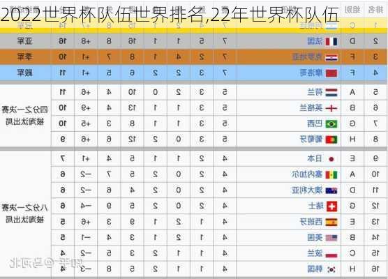 2022世界杯队伍世界排名,22年世界杯队伍