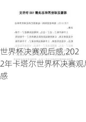 世界杯决赛观后感,2022年卡塔尔世界杯决赛观后感