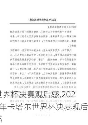 世界杯决赛观后感,2022年卡塔尔世界杯决赛观后感