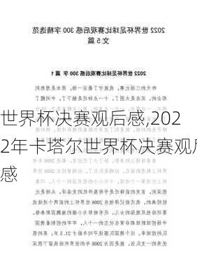 世界杯决赛观后感,2022年卡塔尔世界杯决赛观后感