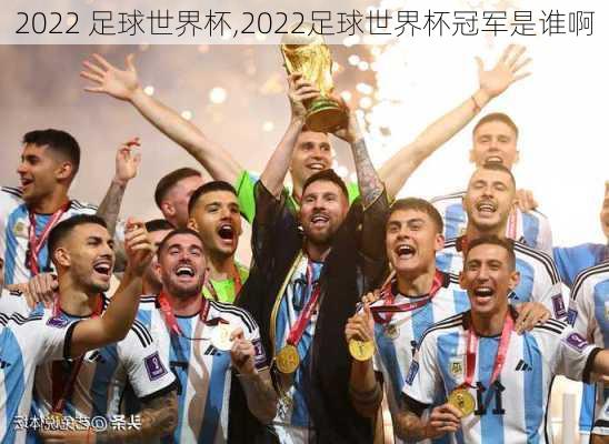 2022 足球世界杯,2022足球世界杯冠军是谁啊