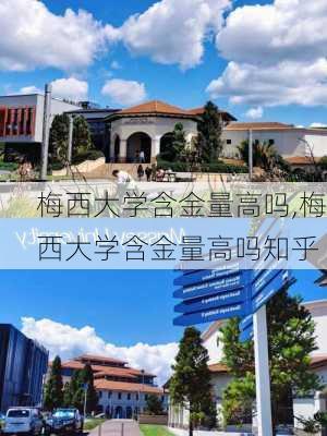 梅西大学含金量高吗,梅西大学含金量高吗知乎