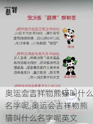 奥运会吉祥物熊猫叫什么名字呢,奥运会吉祥物熊猫叫什么名字呢英文