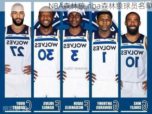 NBA森林狼,nba森林狼球员名单