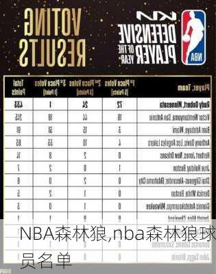 NBA森林狼,nba森林狼球员名单