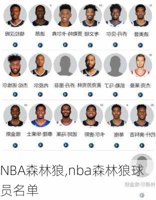 NBA森林狼,nba森林狼球员名单