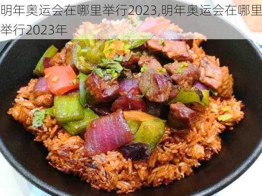 明年奥运会在哪里举行2023,明年奥运会在哪里举行2023年