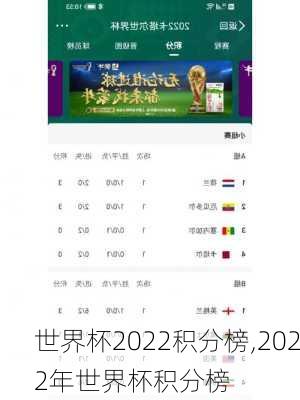 世界杯2022积分榜,2022年世界杯积分榜