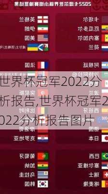 世界杯冠军2022分析报告,世界杯冠军2022分析报告图片