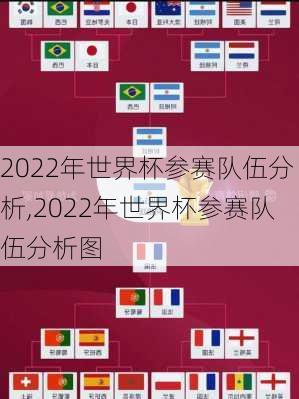 2022年世界杯参赛队伍分析,2022年世界杯参赛队伍分析图