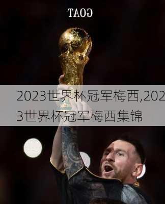 2023世界杯冠军梅西,2023世界杯冠军梅西集锦