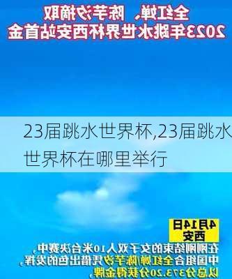 23届跳水世界杯,23届跳水世界杯在哪里举行