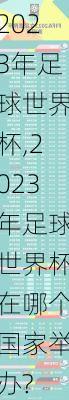 2023年足球世界杯,2023年足球世界杯在哪个国家举办?