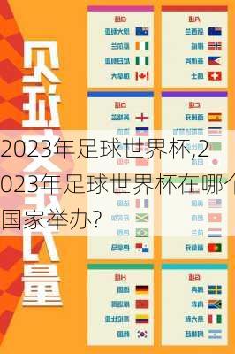 2023年足球世界杯,2023年足球世界杯在哪个国家举办?