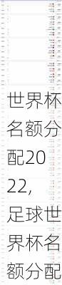 世界杯名额分配2022,足球世界杯名额分配