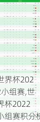 世界杯2022小组赛,世界杯2022小组赛积分榜